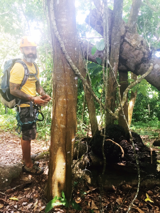 adventure tour guide for tropical adventures in Dorado, Puerto Rico