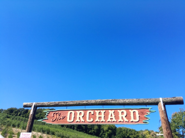 the-orchard-silvrmans-farm-easton-connecticut