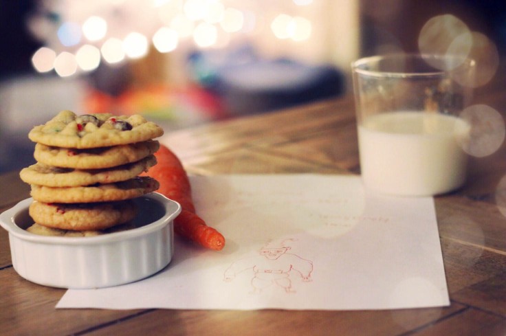 christmas-cookies-and-carrots-for-reindeer-santa